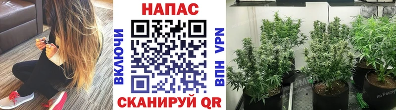 Где купить наркотики Инсар ГАШ  A PVP  blacksprut ONION  Каннабис  Меф мяу мяу 