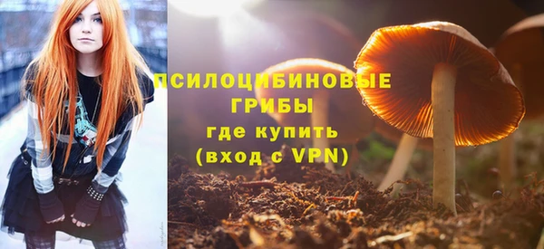 амф Алзамай