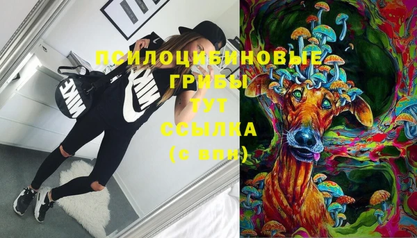 амф Алзамай