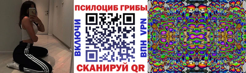 как найти закладки  Инсар  Псилоцибиновые грибы ЛСД 